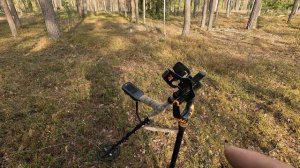 Коп 2025 года! Что я нашёл в лесу с Minelab Manticore