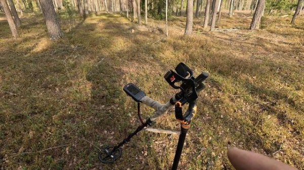 Коп 2025 года! Что я нашёл в лесу с Minelab Manticore