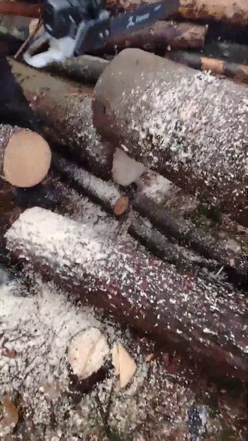 Из коробки в работу 🌲🪓 #zimani #беларусь #wood #farmertec #chainsaw # смотреть онлайн