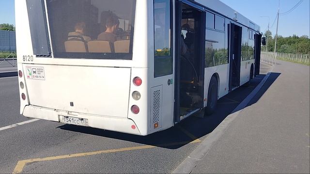 1 июня 2025 г. Автобус 328 маршрут МАЗ-203 8120 Колпино Октябрьская Улица смотреть онлайн