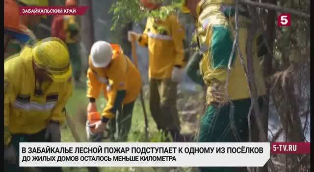 Пятый канал_В Забайкальском крае лесной пожар сегодня подошел к одному из больших поселков смотреть онлайн