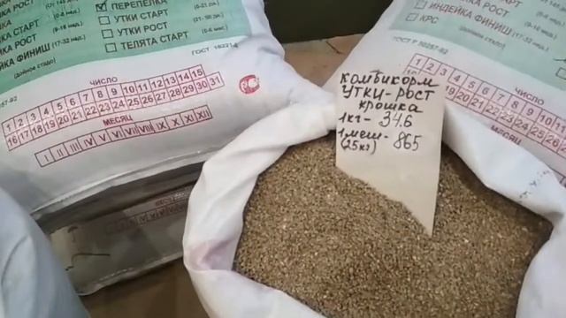Какие цены на зерно и корма на Кубани урожай 2020г смотреть онлайн