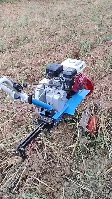 Вадене на картофи 2022 с Нева МБ 2!Уборка картофеля 2022 с Н смотреть онлайн