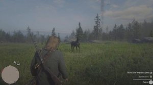 Red Dead Redemption 2где найти Рысака