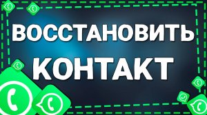 Как восстановить контакт после удаления в Ватсап на Айфоне в 2025 году