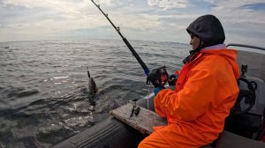 ТРУДОВАЯ МОРСКАЯ РЫБАЛКА НА БАРЕНЦЕВОМ МОРЕ