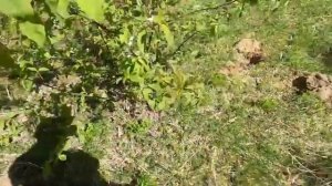 С Юрием Бойко первый выезд с Гефестом