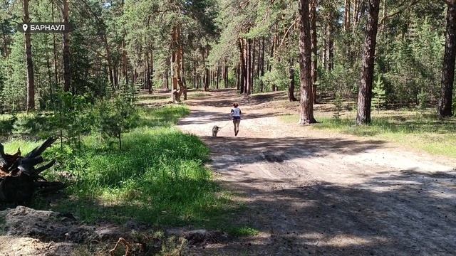 Любительские соревнования 