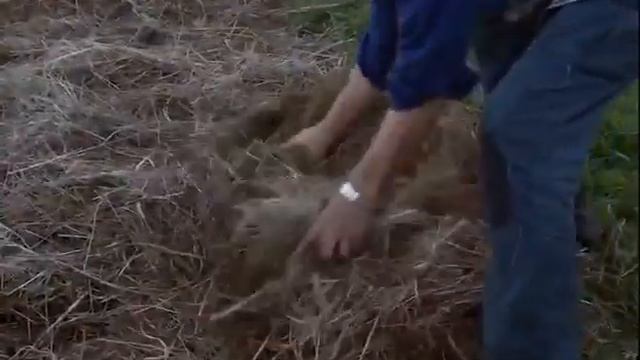 Живая почва 🌱