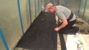 Геотекстиль в теплицу