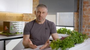 Всё о гидропонике от А до Я! / Как выращивать растения Д