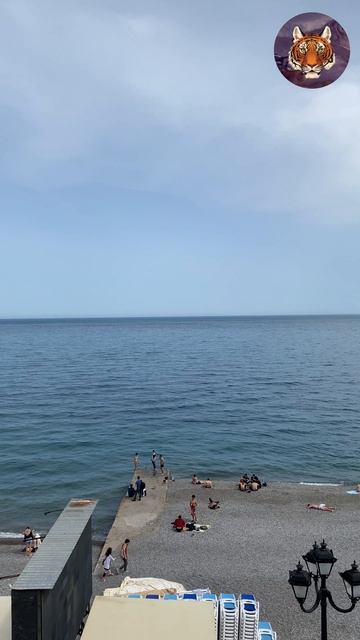 Сезон открыт Ялта #ялта #2025 смотреть онлайн