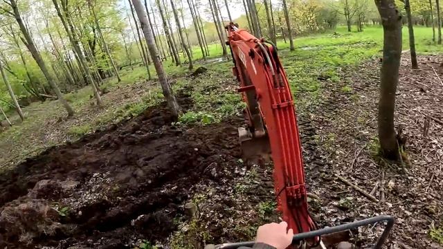 Вылупляются ! Скоро будет много цыплят ! ХУТОР В ЛЕСУ №697 смотреть онлайн