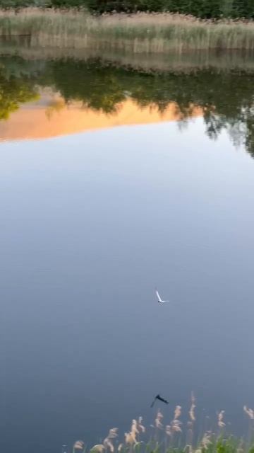 Липецк, Силикатные озера.mp4