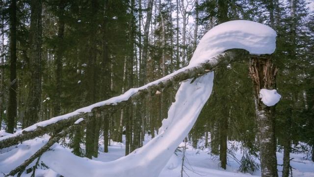 "СТРАНСТВУЮЩАЯ ДУША"... (Фото Светланы УРМАНЦЕВОЙ (Уфа),