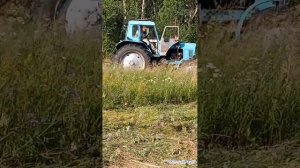 ,,,Сенокос,,МТЗ 80 , сегментная сенокоска,,,,