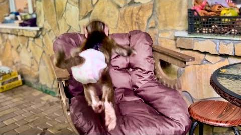 ОБХОХОЧЕШЬСЯ! Анфиса научилась прыгать и теперь она постоянно В ПОЛЕТЕ! смотреть онлайн