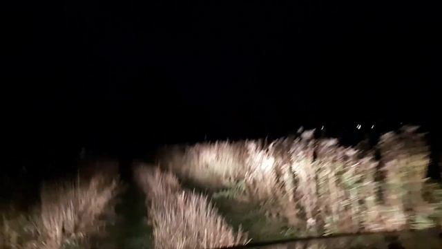 В поисках приключений, на шевроле нива.