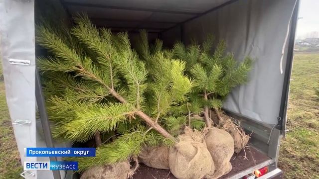 Сотрудники группы компаний ТАЛТЭК присоединились к м? смотреть онлайн