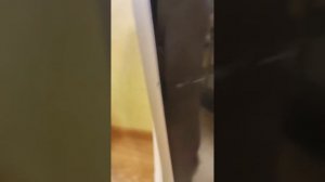 Сабвуфер bbk от домашнего кинотеатра