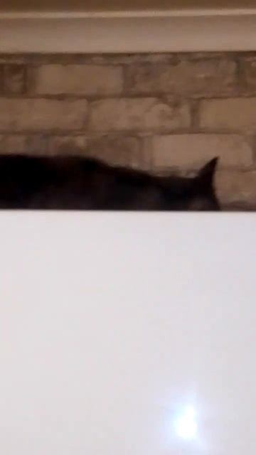 А мы монтажники-высотники!