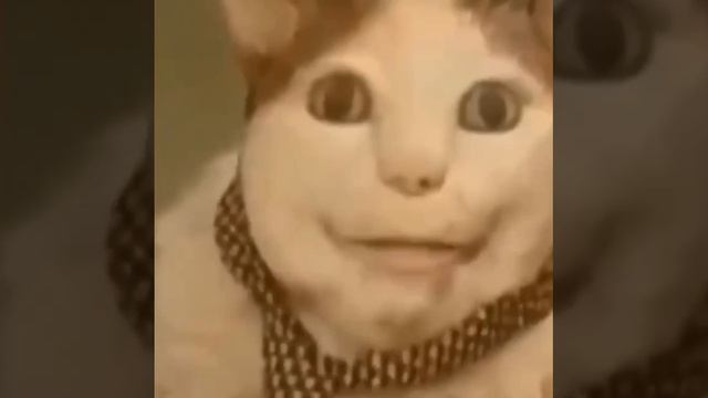 бу, испугался?