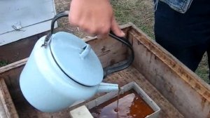 Подкормка пчел медом
