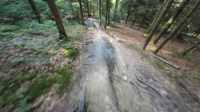 Пытаюсь сконцентрироваться после лапши на Gigeliwald Trail, Lu