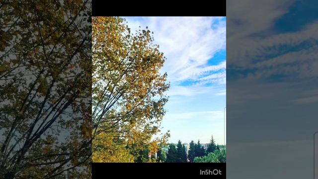 Прекрасные моменты.mp4 смотреть онлайн