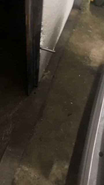 Звук мотора ваз 2107 на валу эстонец 10.5 фаза 256 смотреть онлайн