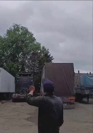 Гераньки в Сумах