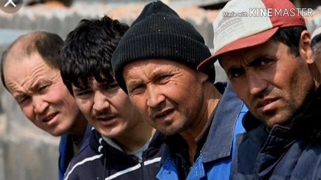 Кружка компота. Выпуск №3. Мигранты