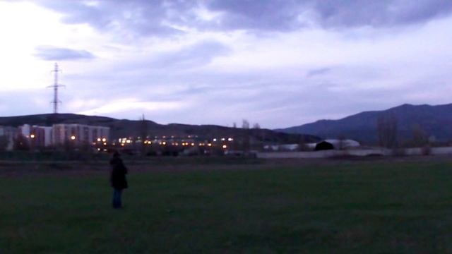 Модель самолета Метроид