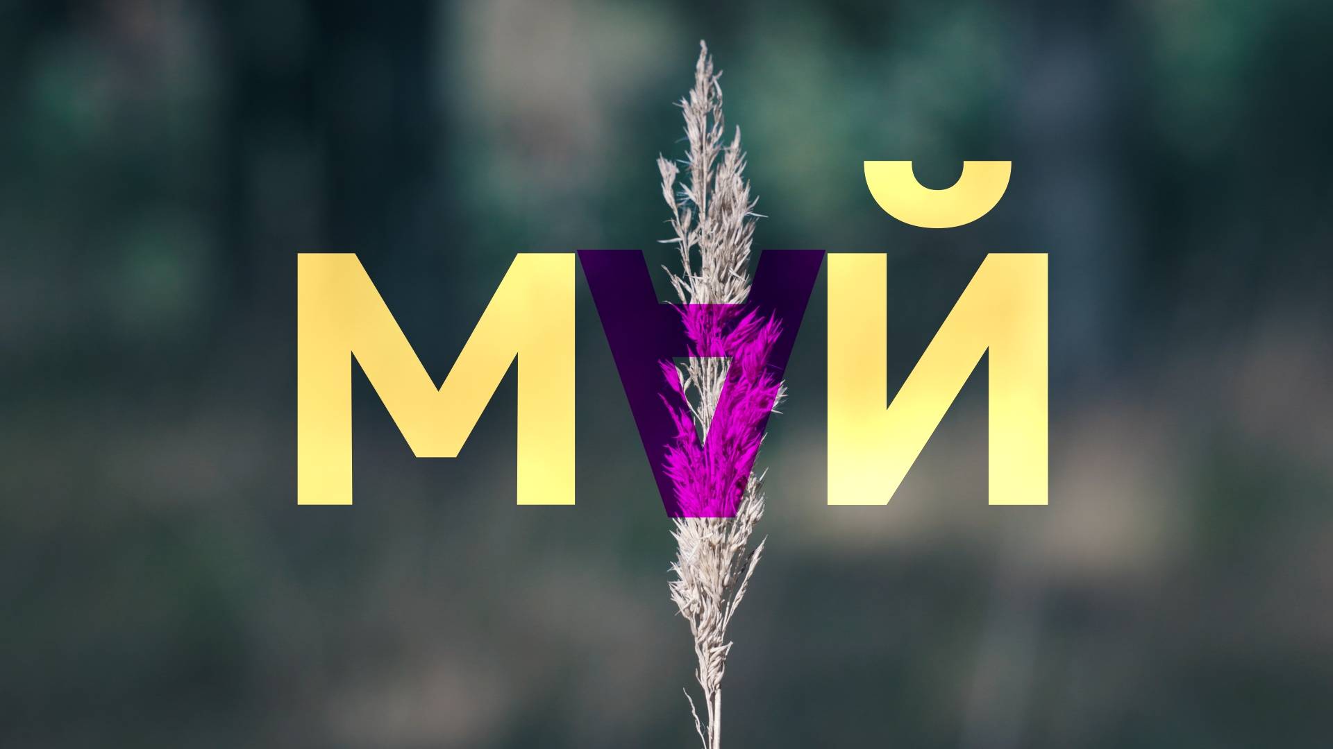 Май 25 смотреть онлайн