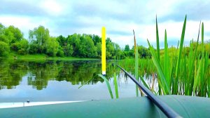 ШОК!!! СТОЛЬКО ЛИНЯ ЕЩЕ НЕ ЛОВИЛ!!! Рыбалка на поплавок!