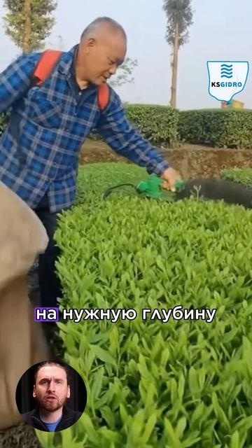 останавливает движение здания смотреть онлайн