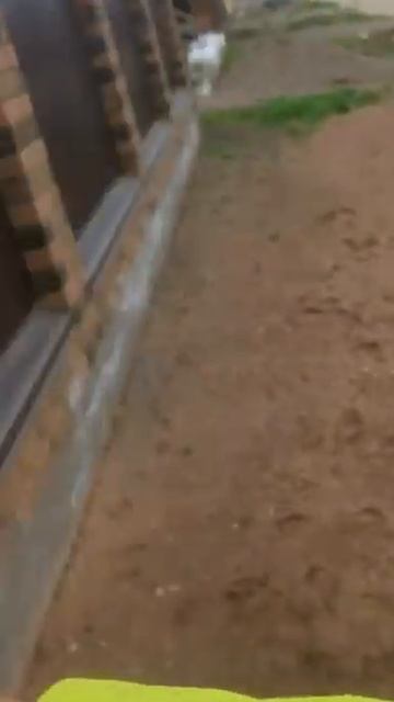 #ковка #сварка #сваркаметалла #стройка Готовая работа ? смотреть онлайн