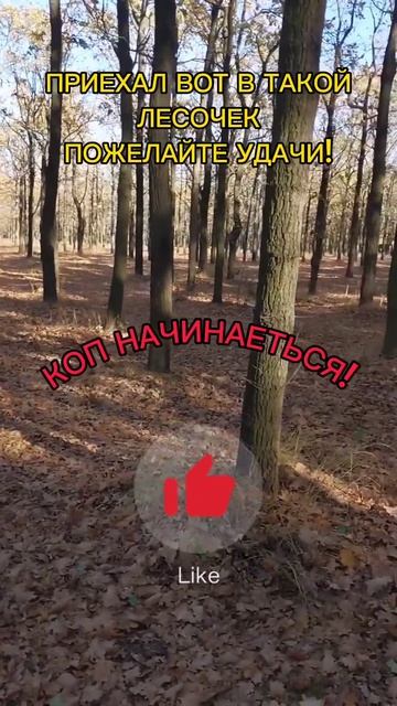 Коп начинается#коп#лес#находки#металлоискатель#coins#metal смотреть онлайн