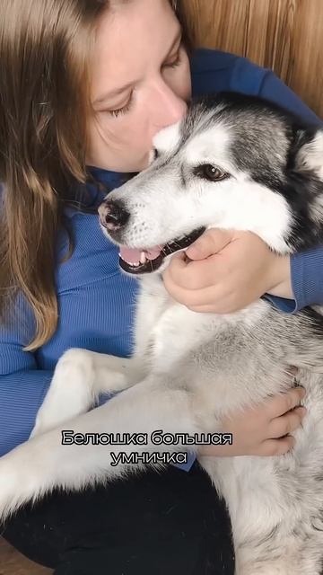 Гриндер: 253290341 (вб) #догблог #собака #догблогер #когтере? смотреть онлайн