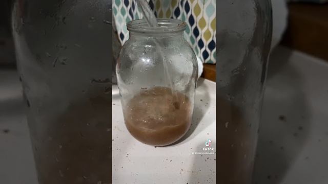 17 лет не было детей. Отзыв об орехе от бесплодия мохилх смотреть онлайн