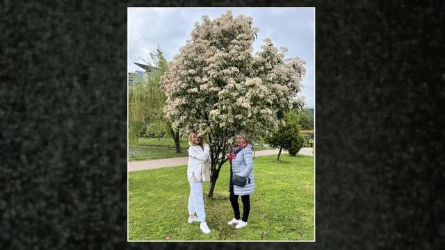 Батуми фото 2022