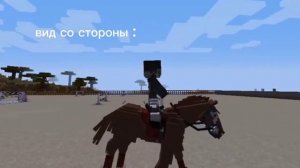 моя рутина на конюшне SWEM , тренирую клубную лошадь