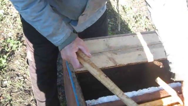 Остання збірка гнізд у лежаках в 2023 році!