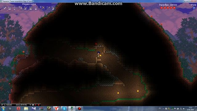 Terraria №3 