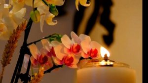 Коллективная медитация на обретение связи со Вселенн?