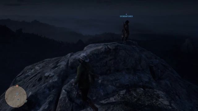 Летаем в RDR 2