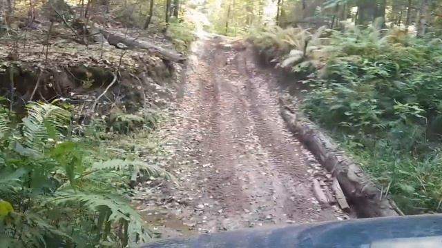 одному в лес без лебедки никак