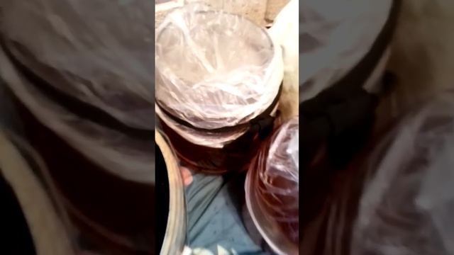 Кошка Ксюша помогает делать варенье.