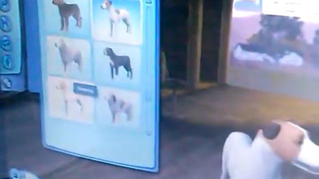 Видео с подругой Lager Girl и скромной играем в симс 3 райск