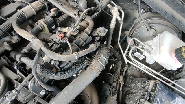 Где номер двигателя на TANK 300(Танк 300) 2 л бензин 22 год смотреть онлайн